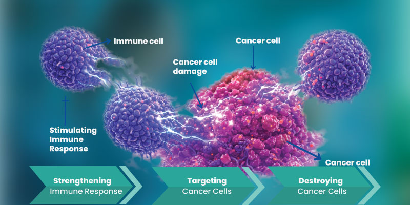 Illustration of immunotherapy treatment targeting colorectal cancer cells