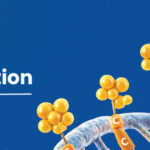 DNA methylation process showing methyl groups attached to DNA strand