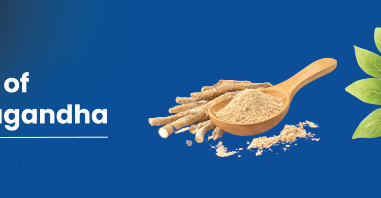 ashwagandha root herbal supplement withania somnifera used for stress relief