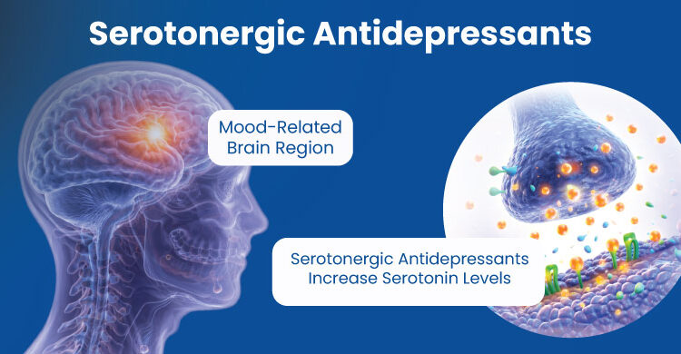 Diagram showing how serotonergic antidepressants increase serotonin levels in the brain