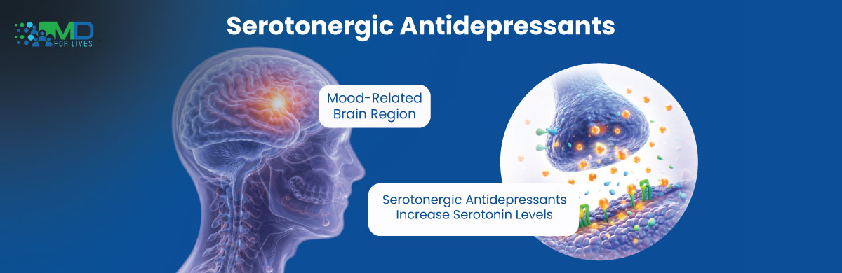 Diagram showing how serotonergic antidepressants increase serotonin levels in the brain
