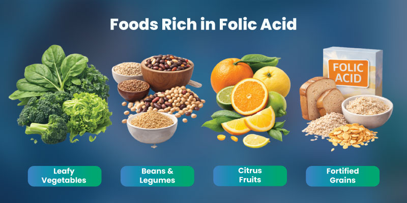 Foods rich in folic acid supporting birth defect prevention