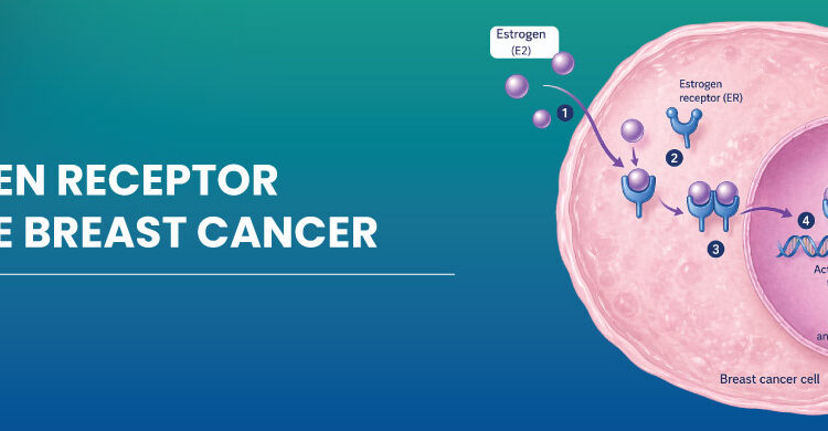 Estrogen Receptor Positive Breast Cancers