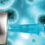 fentanyl vaccine antibodies binding to fentanyl molecules in bloodstream