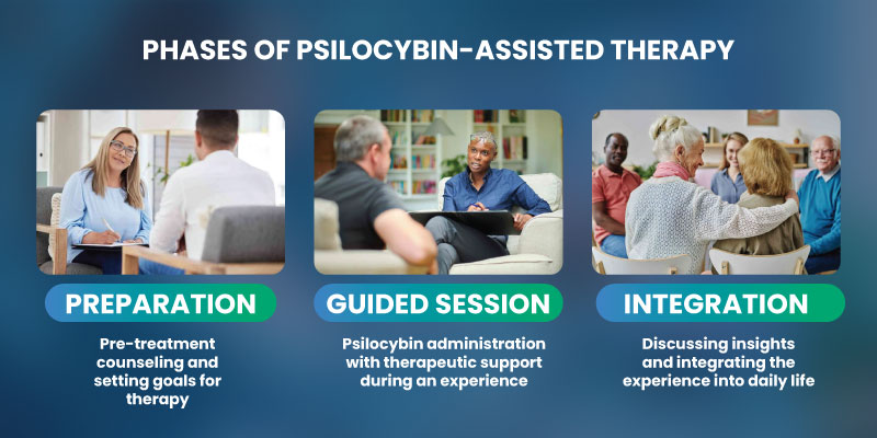 Diagram showing stages of psilocybin assisted therapy process