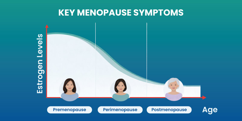 estrogen decline during menopause showing hormonal changes