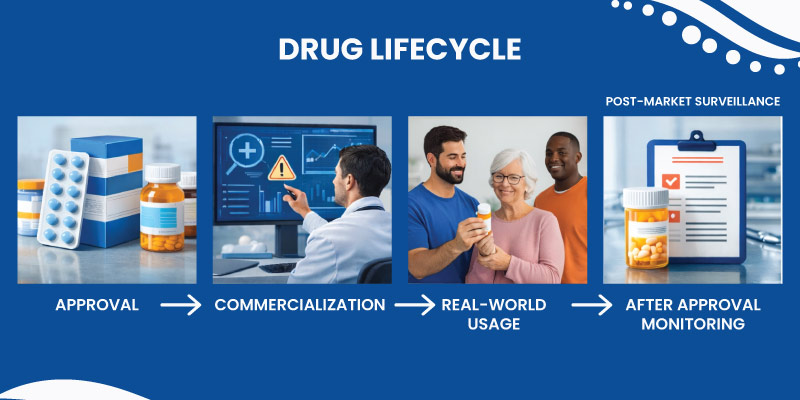pharmacovigilance process monitoring drug safety after approval