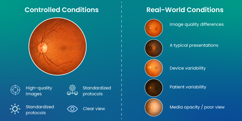 controlled AI accuracy compared with real-world consistency in ophthalmic imaging 