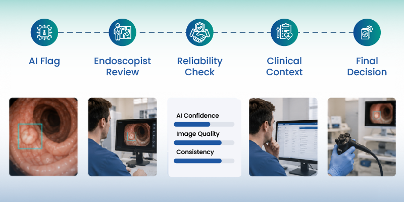 AI-assisted endoscopy finding moving through clinician verification before procedural decision