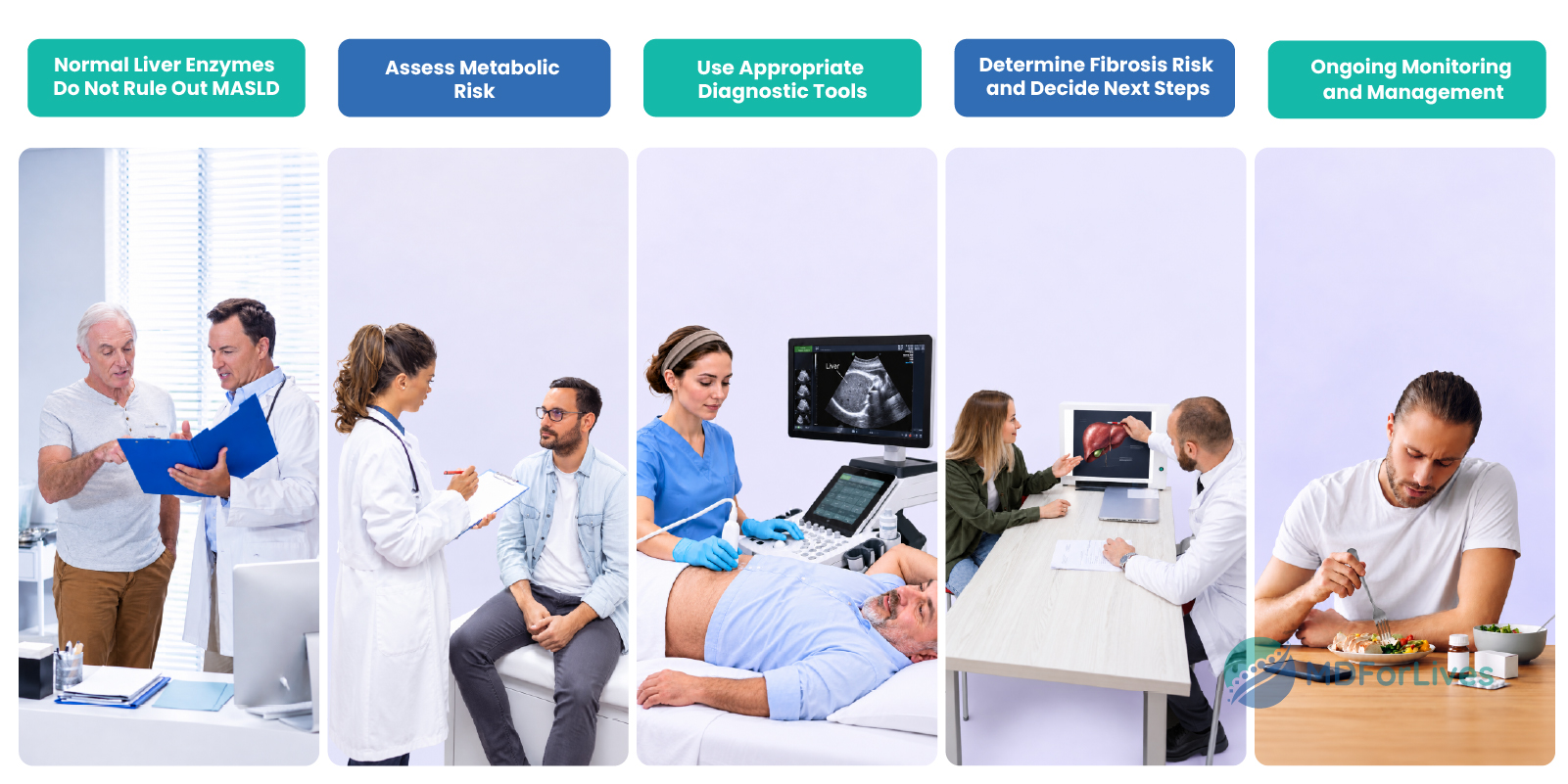MASLD assessment infographic showing metabolic risk FIB-4 fibrosis assessment elastography and referral despite normal liver enzymes